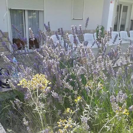 Rab Riviera Retreat - 3 Bedroom Apartment